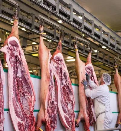 Jamón Salamanca Meat – Sala de despiece Jamón Salamanca Meat - Sala de despiece