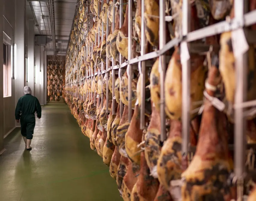 Jamón Salamanca Meat – Salazón y curación Jamón Salamanca Meat - Salazón y curación