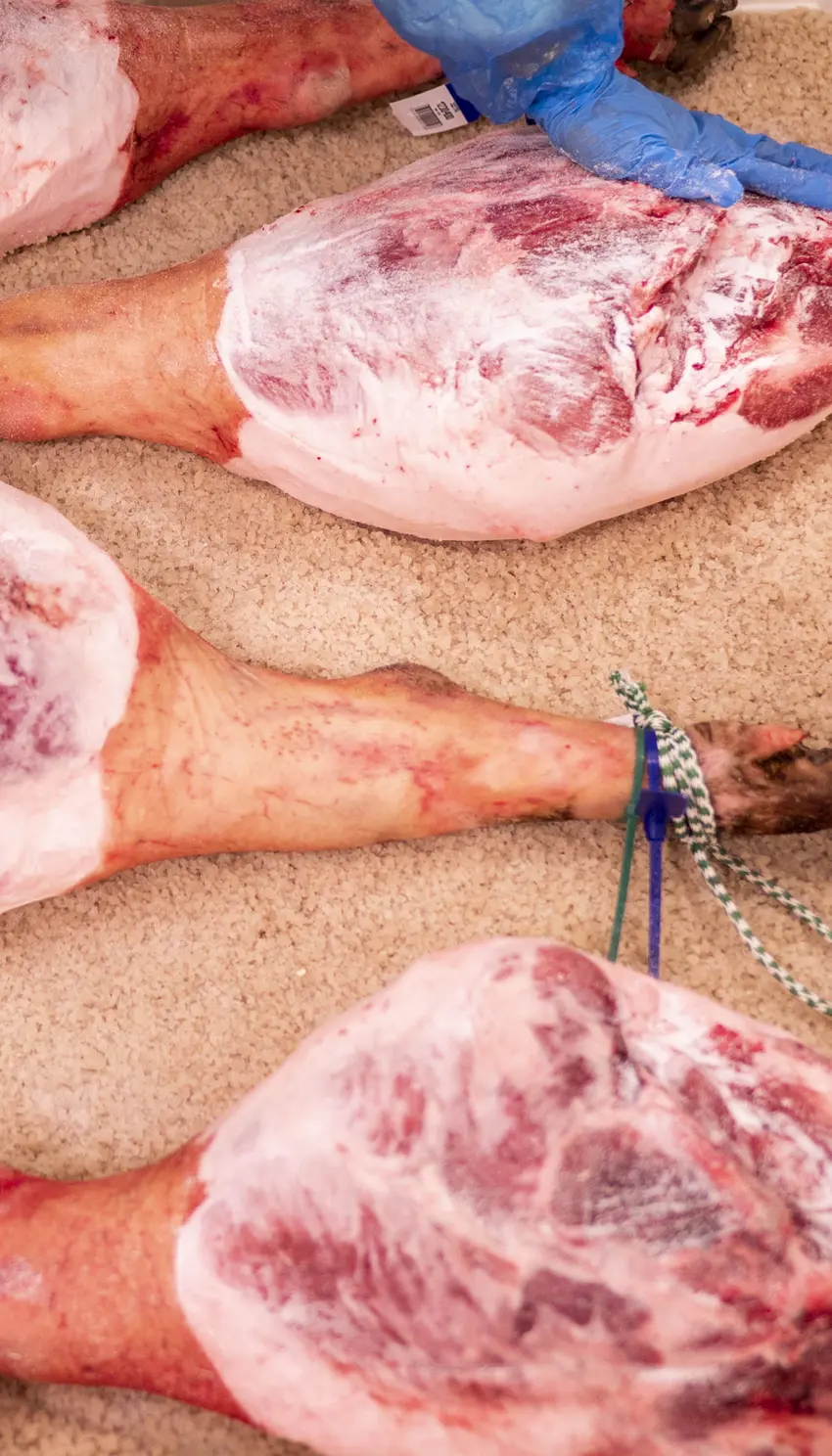 Jamón Salamanca Meat – Salazón y curación Jamón Salamanca Meat - Salazón y curación